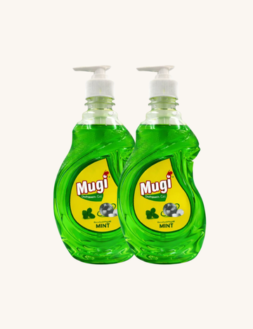 Dishwash Gel Mint 500ml (Pack of 2)